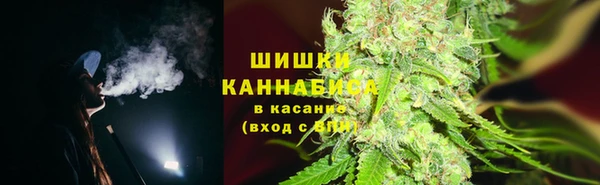 mdpv Пролетарск