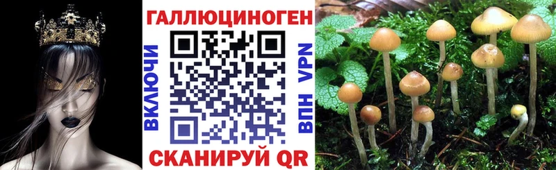 Галлюциногенные грибы Magic Shrooms  Володарск 